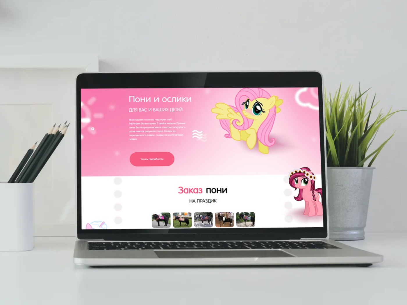 Пони и ослики